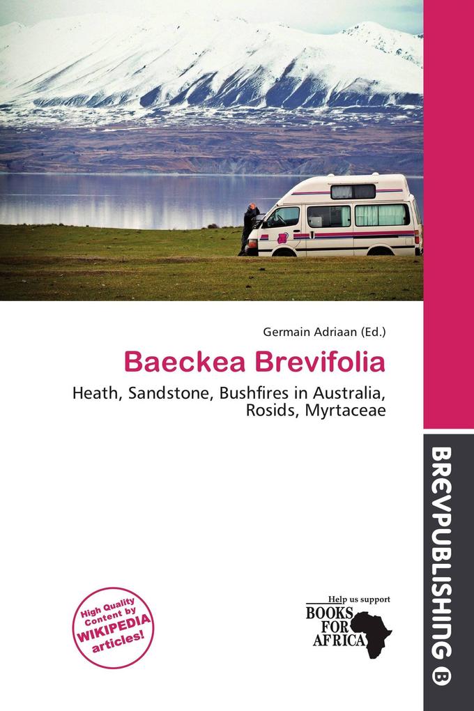 Baeckea Brevifolia