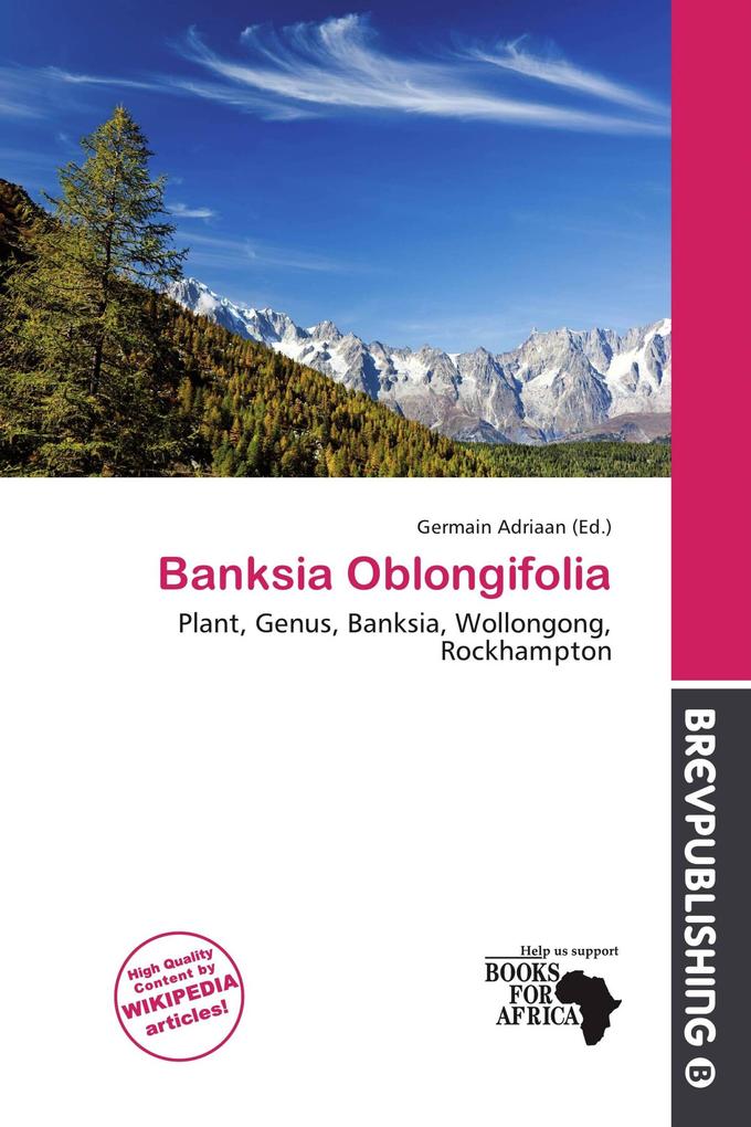 Banksia Oblongifolia