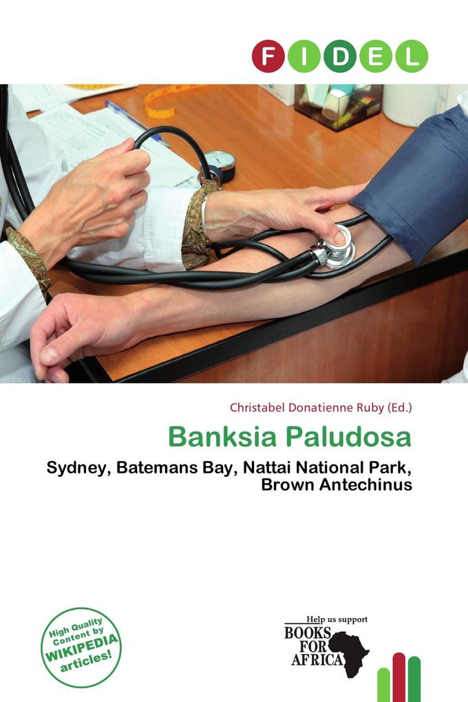 Banksia Paludosa