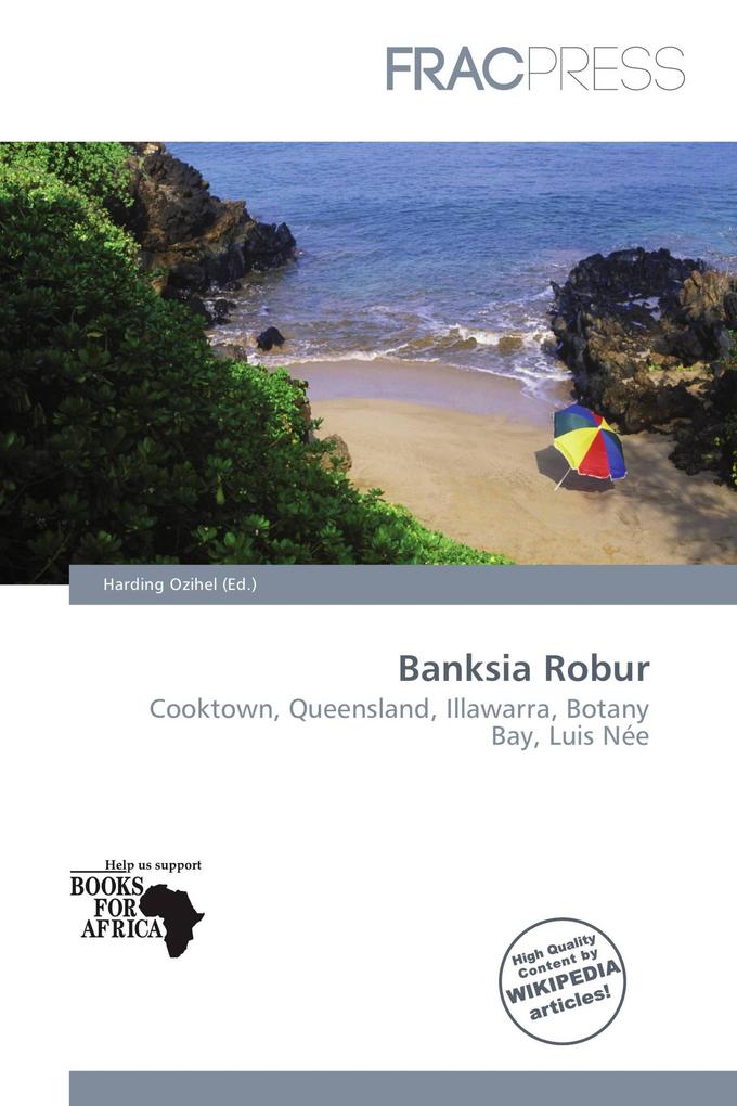 Banksia Robur
