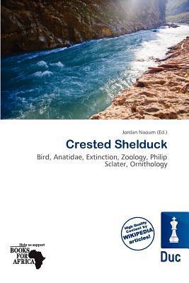 Crested Shelduck