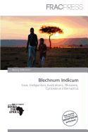 Blechnum Indicum