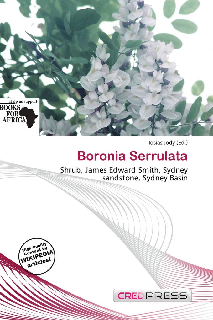 Boronia Serrulata