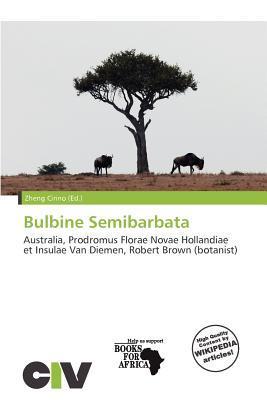 Bulbine Semibarbata
