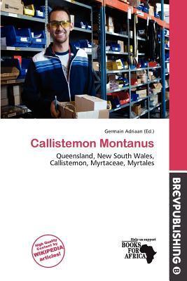 Callistemon Montanus