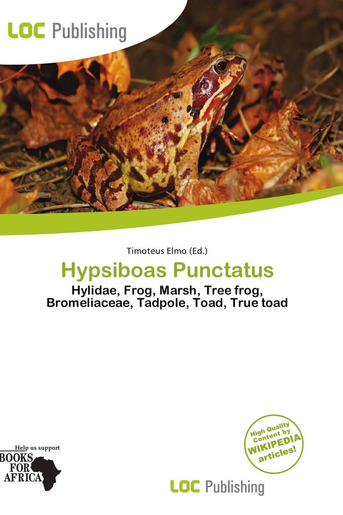Hypsiboas Punctatus