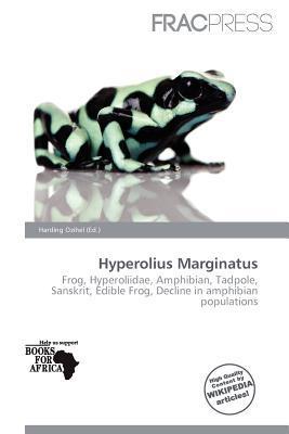 Hyperolius Marginatus