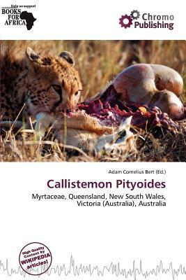 Callistemon Pityoides