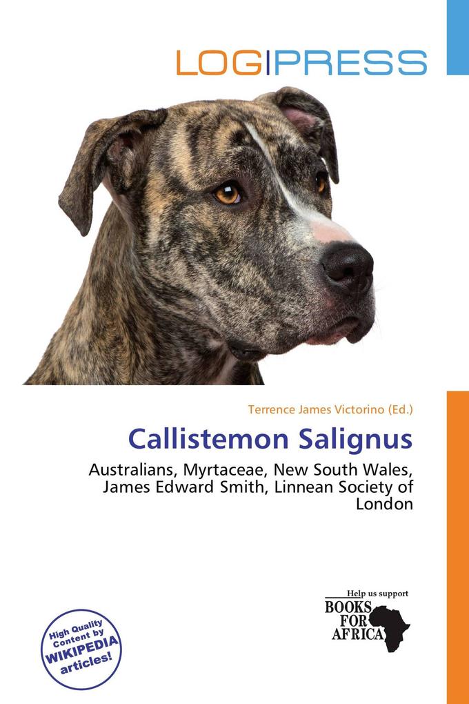 Callistemon Salignus