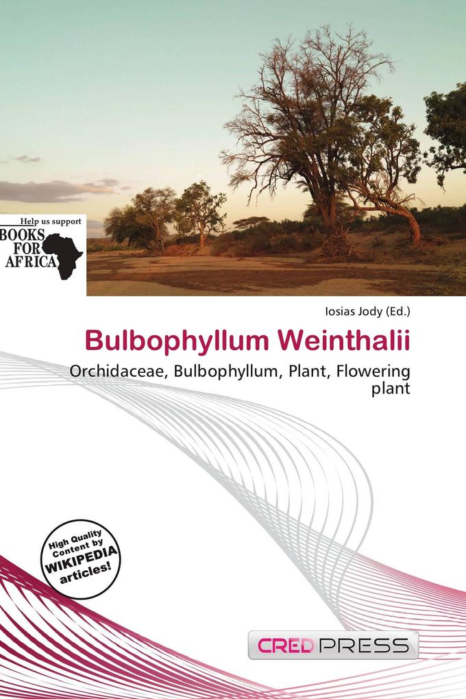 Bulbophyllum Weinthalii