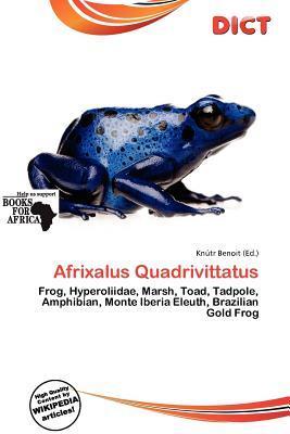 Afrixalus Quadrivittatus