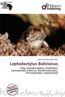 Leptodactylus Bolivianus