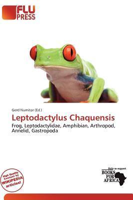 Leptodactylus Chaquensis