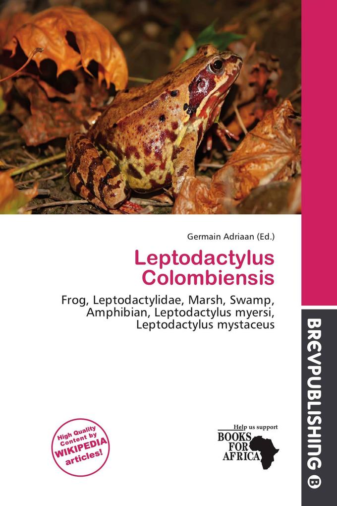 Leptodactylus Colombiensis