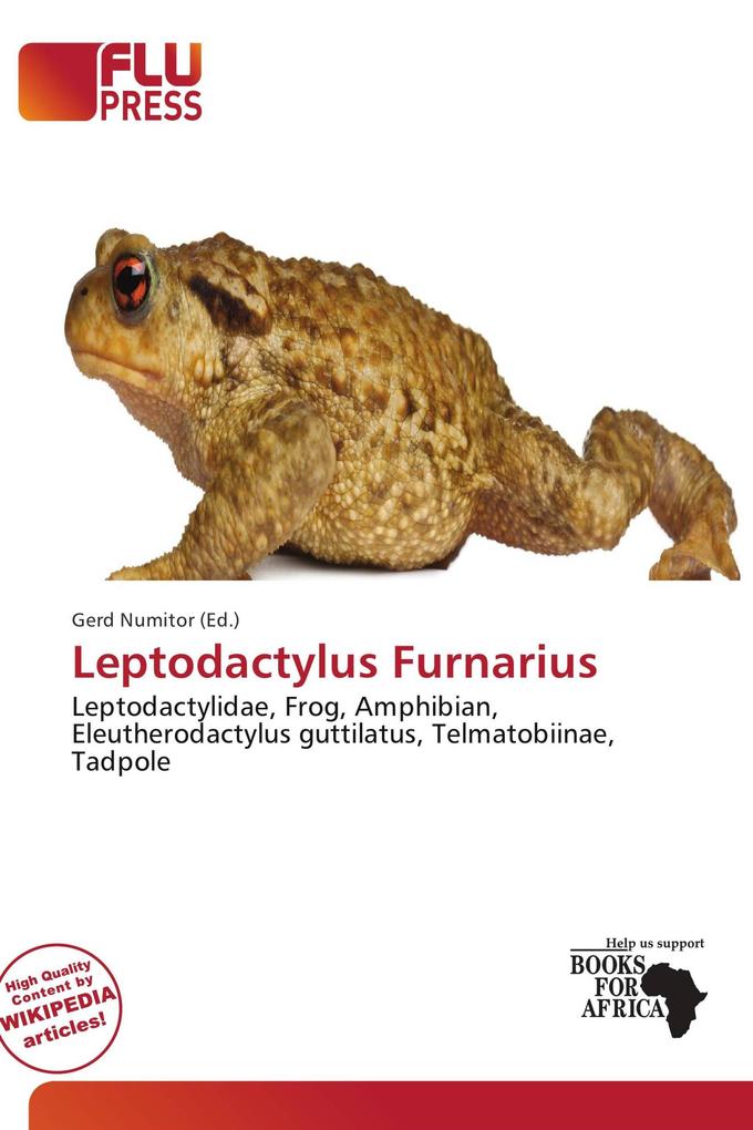 Leptodactylus Furnarius
