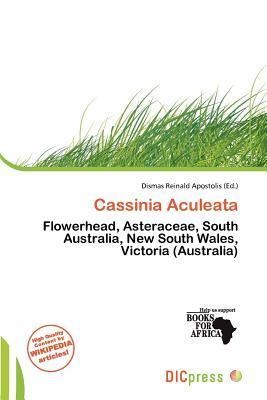 Cassinia Aculeata