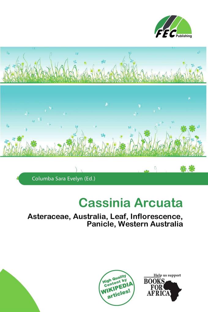 Cassinia Arcuata