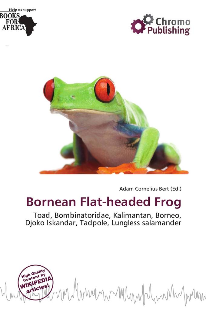 Bornean Flat-headed Frog