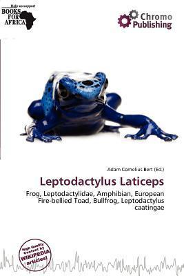 Leptodactylus Laticeps