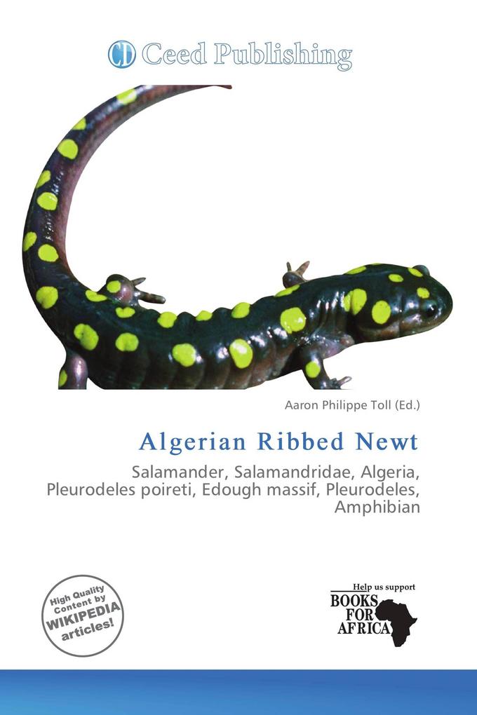 Algerian Ribbed Newt