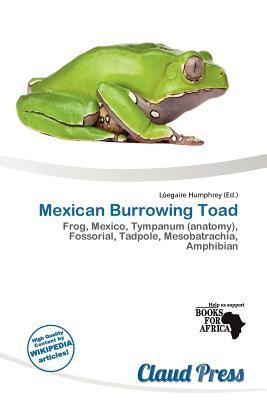 Mexican Burrowing Toad