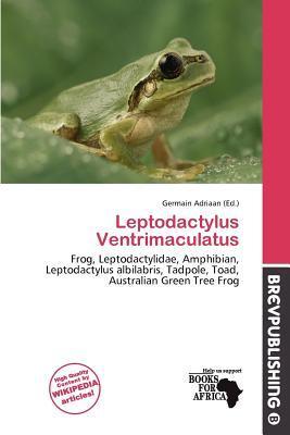 Leptodactylus Ventrimaculatus