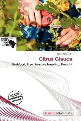 Citrus Glauca