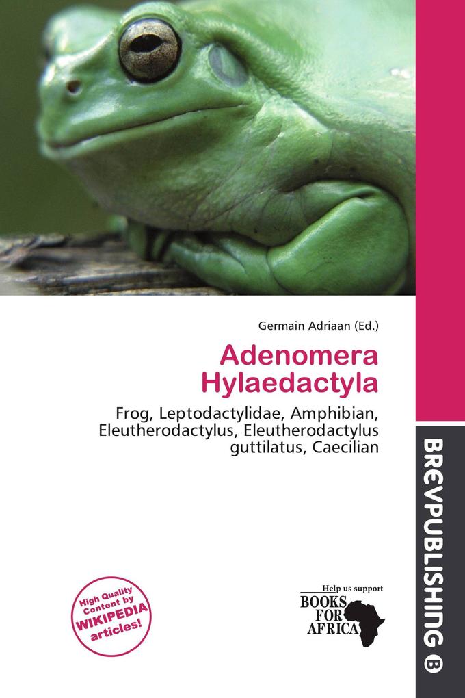 Adenomera Hylaedactyla