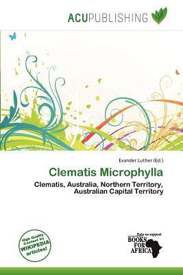 Clematis Microphylla