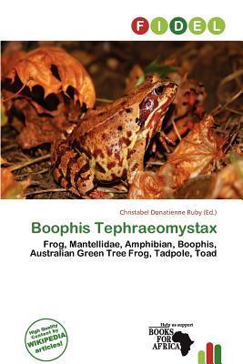 Boophis Tephraeomystax