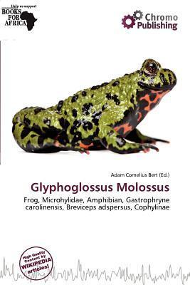 Glyphoglossus Molossus