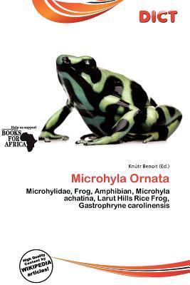 Microhyla Ornata