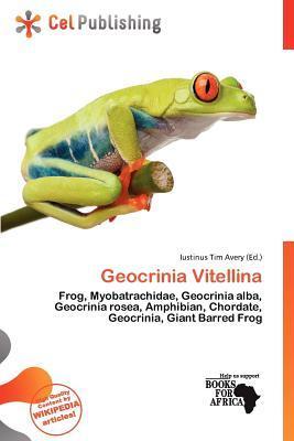 Geocrinia Vitellina