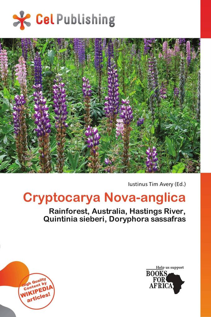 Cryptocarya Nova-anglica