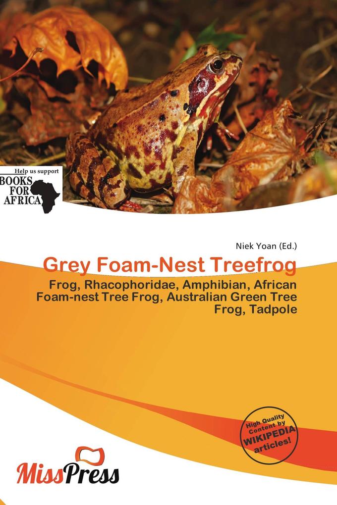 Grey Foam-Nest Treefrog