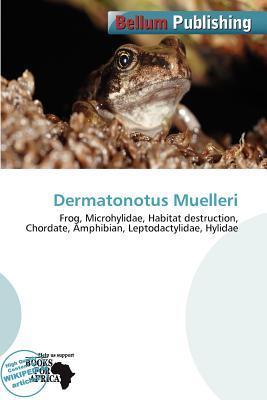 Dermatonotus Muelleri