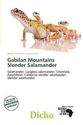 Gabilan Mountains Slender Salamander