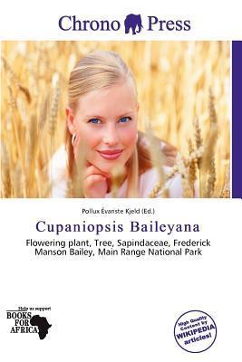 Cupaniopsis Baileyana