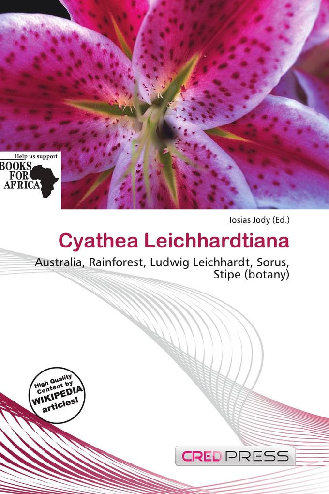 Cyathea Leichhardtiana