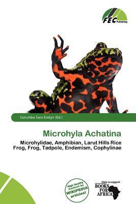 Microhyla Achatina
