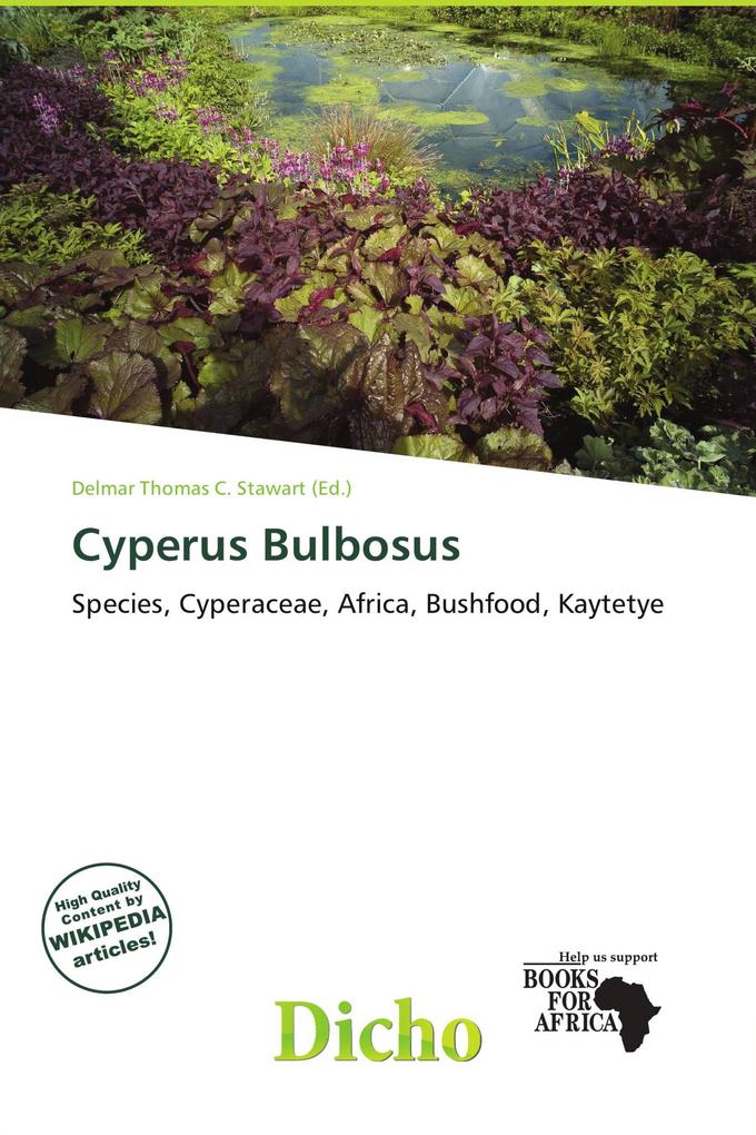 Cyperus Bulbosus