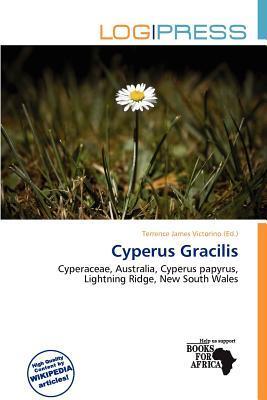 Cyperus Gracilis