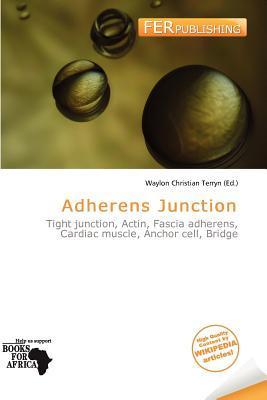 Adherens Junction