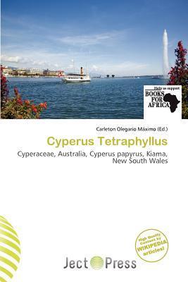 Cyperus Tetraphyllus