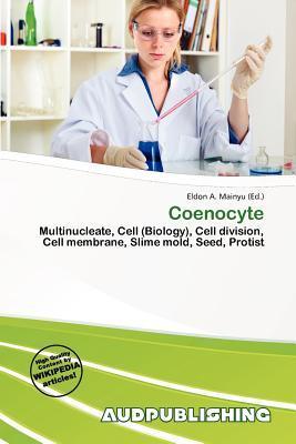 Coenocyte