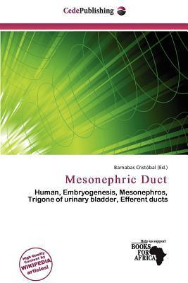 Mesonephric Duct