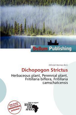 Dichopogon Strictus