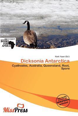 Dicksonia Antarctica
