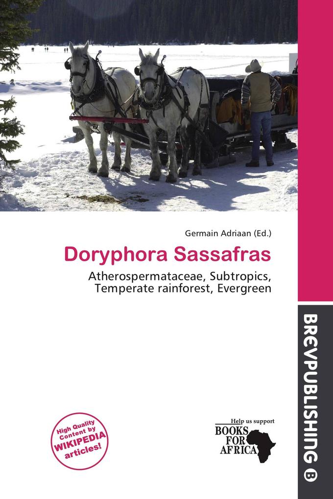 Doryphora Sassafras