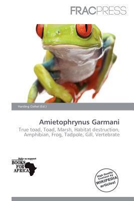 Amietophrynus Garmani